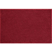 BADTEPPICH Concordia Rot 65/115 cm  - Rot, Basics, Kunststoff/Textil (65/115cm) - Grund