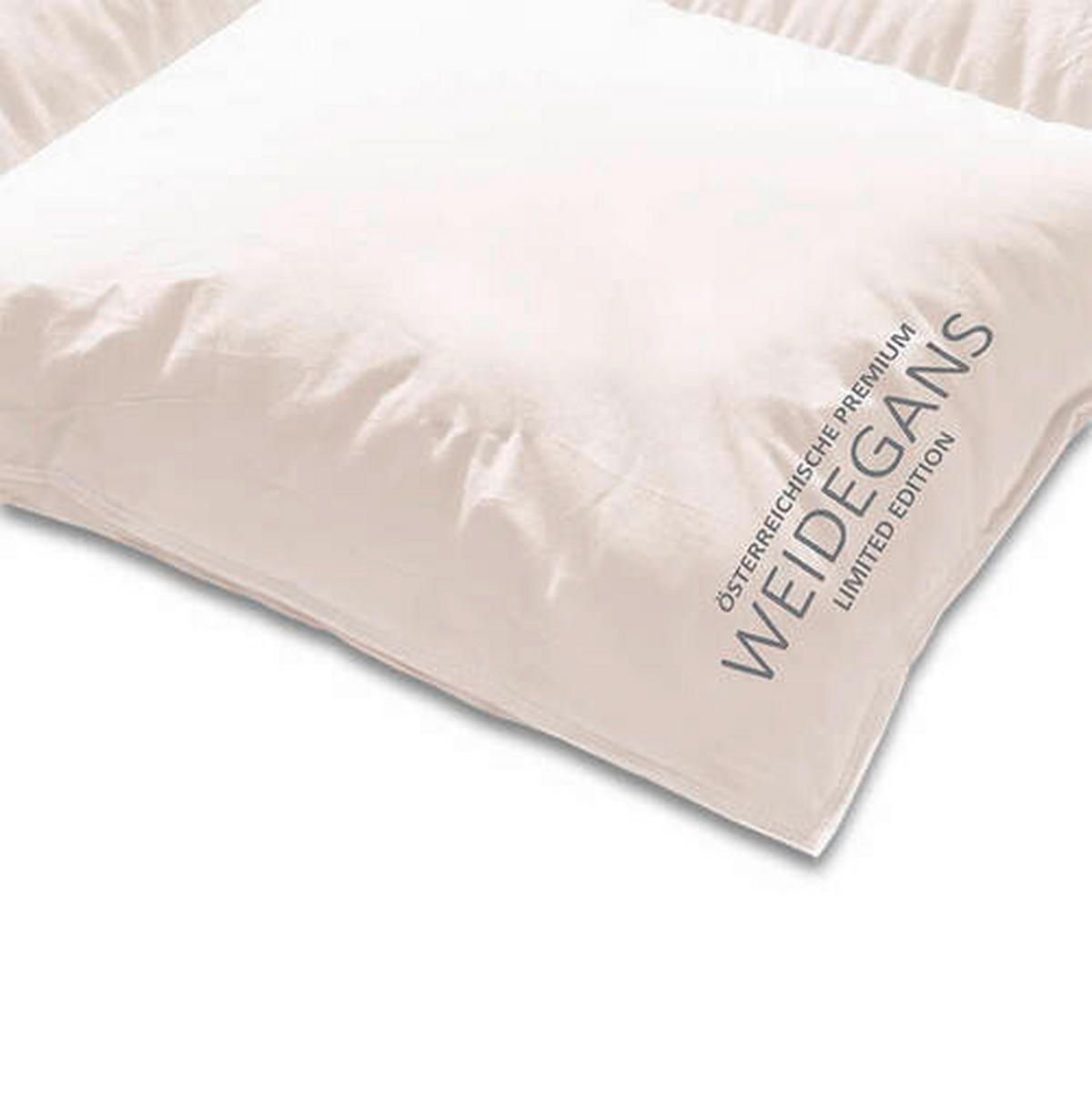 DAUNENDECKE  Österreichische Weidegans  140/200 cm   - Weiß, Basics, Textil (140/200cm) - Kauffmann