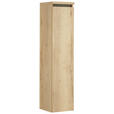 MIDISCHRANK 30/133,8/30 cm  - Eichefarben, MODERN, Glas/Holzwerkstoff (30/133,8/30cm) - Dieter Knoll