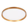 DECKENLEUCHTE Fladdy 50/7 cm   - Goldfarben, Basics, Kunststoff/Metall (50/7cm)
