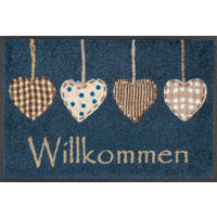 FUßMATTE  40/60 cm  Blau, Beige  - Blau/Beige, Basics, Kunststoff/Textil (40/60cm) - wash+dry