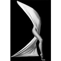 BILD 100/150 cm  - Schwarz, Design, Holz/Kunststoff (100/150cm)