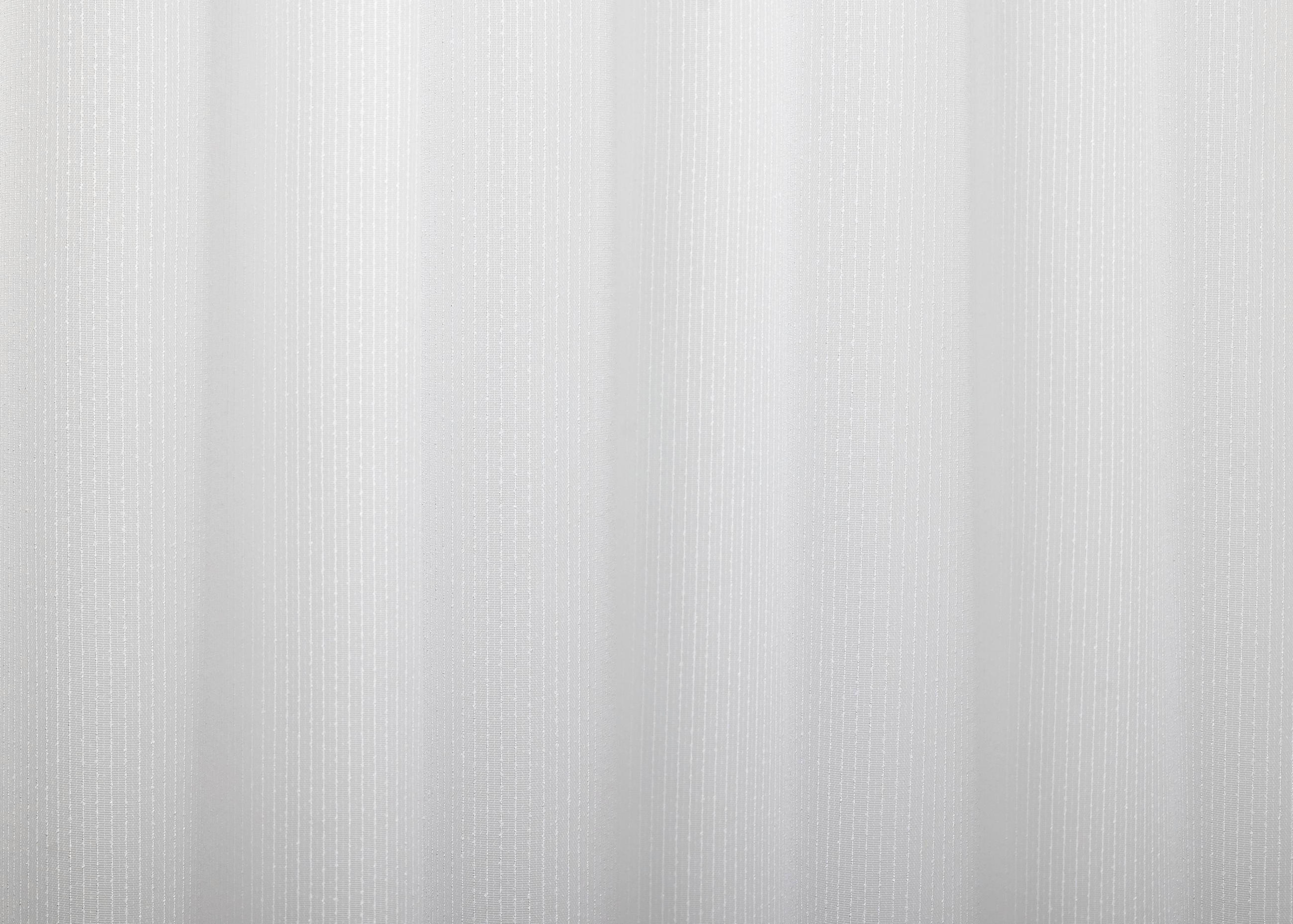 TKANINA ZA ZAVJESE ecru - ecru, Basics, tekstil (295cm)
