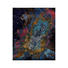 ORIENTTEPPICH - Multicolor, Design, Textil (200/300/cm) ORIENTTEPPICH - Multicolor, Design, Textil (200/300/cm)