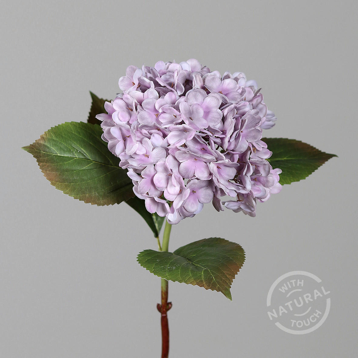 HORTENSIE - Basics (52ml)