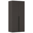DREHTÜRENSCHRANK 101/223/61 cm,  in Graphitfarben, 2-türig  - Schwarz/Graphitfarben, Basics, Holzwerkstoff/Metall (101/223/61cm) - Novel
