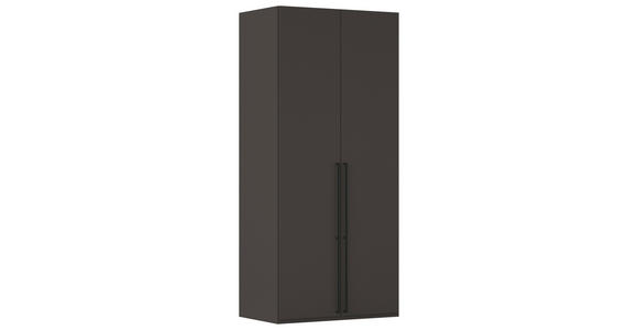 DREHTÜRENSCHRANK 101/223/61 cm,  in Graphitfarben, 2-türig  - Schwarz/Graphitfarben, Basics, Holzwerkstoff/Metall (101/223/61cm) - Novel