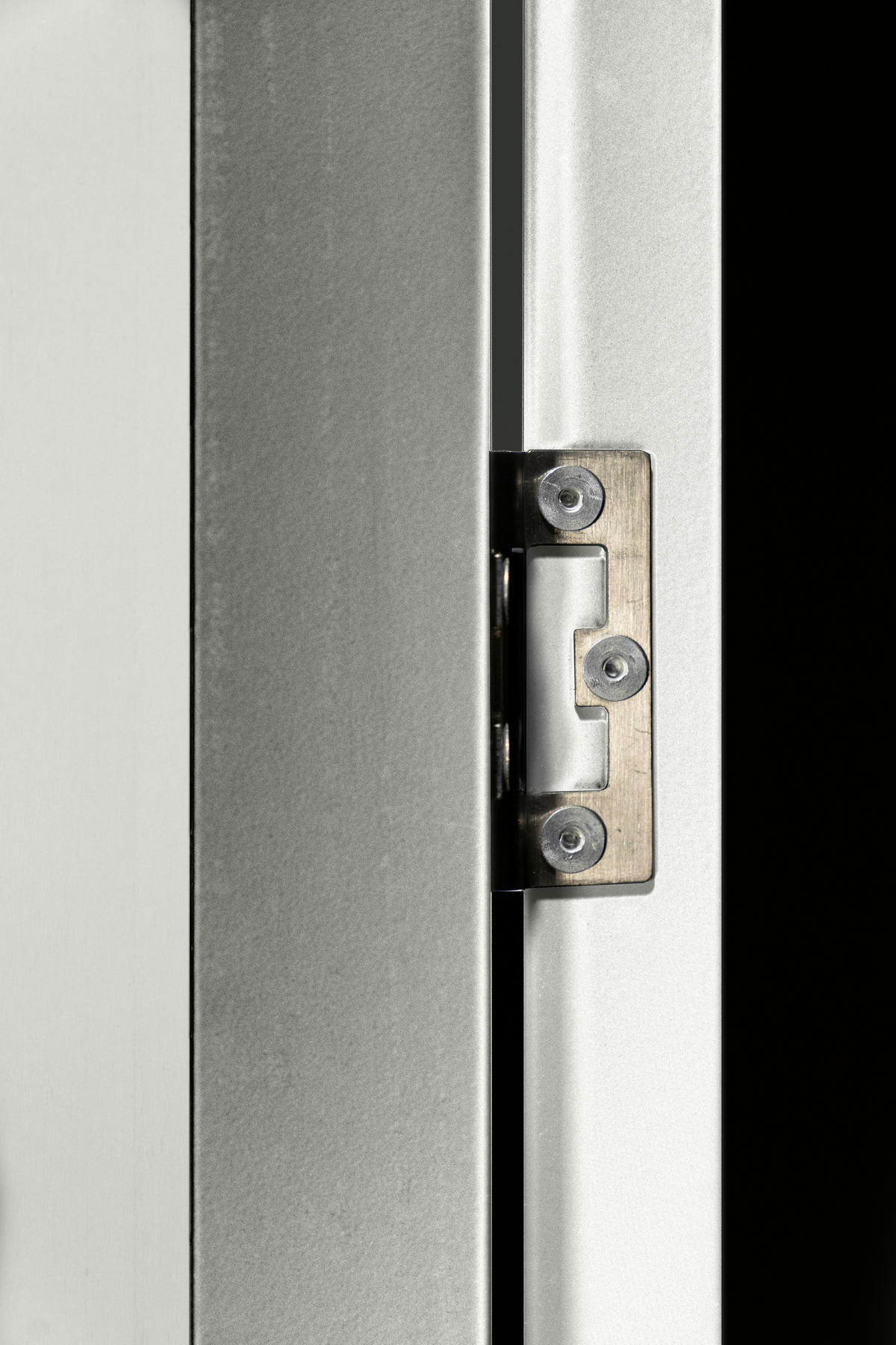 SCHWINGTÜR-KIT FÜR GEWÄCHSHAU - Silberfarben, Basics, Metall (67/172cm)