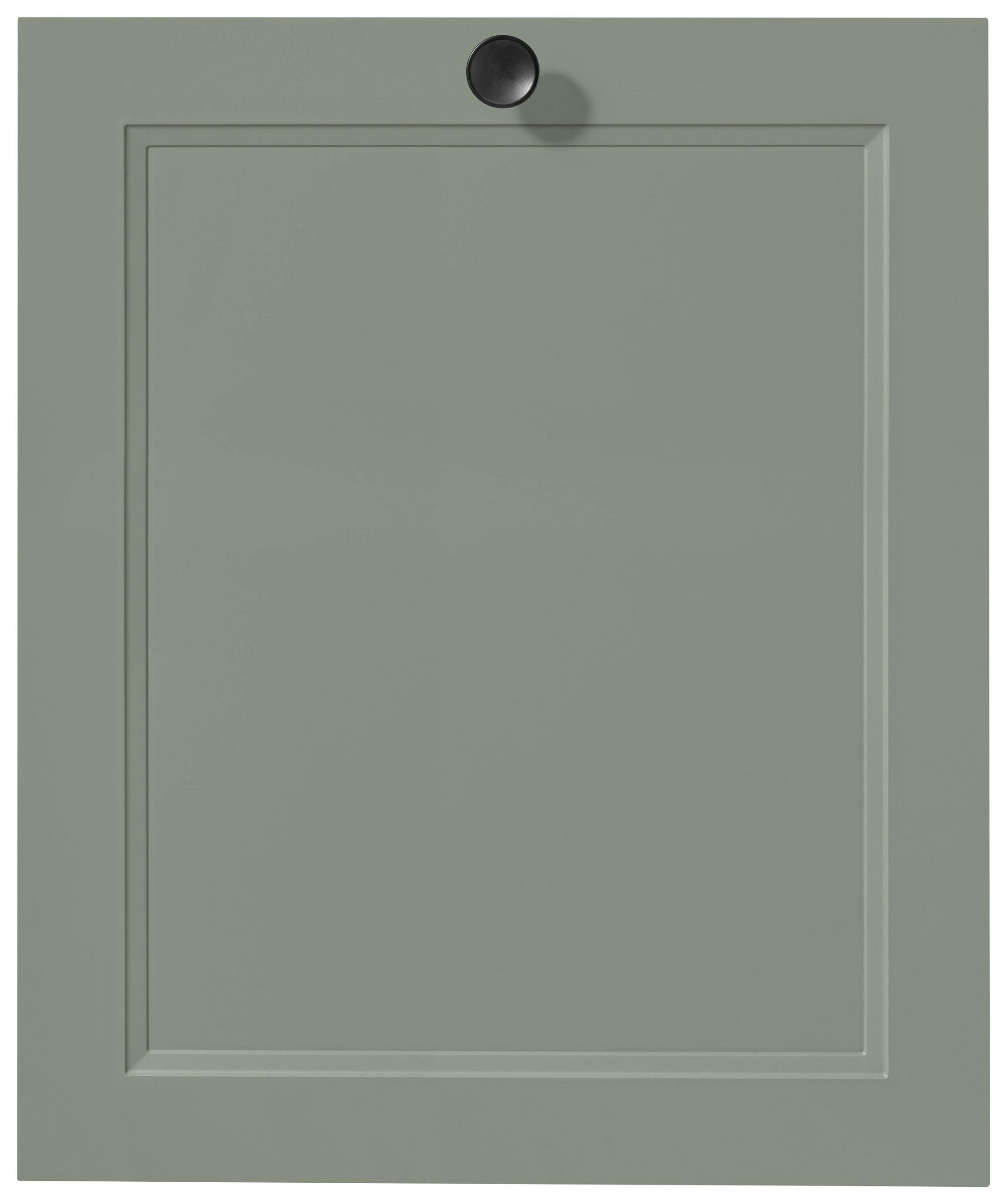 GESCHIRRSPÜLERFRONT 60/72/2,2 cm  in Grün  - Edelstahlfarben/Grün, MODERN, Holzwerkstoff/Metall (60/72/2,2cm) - Nobilia