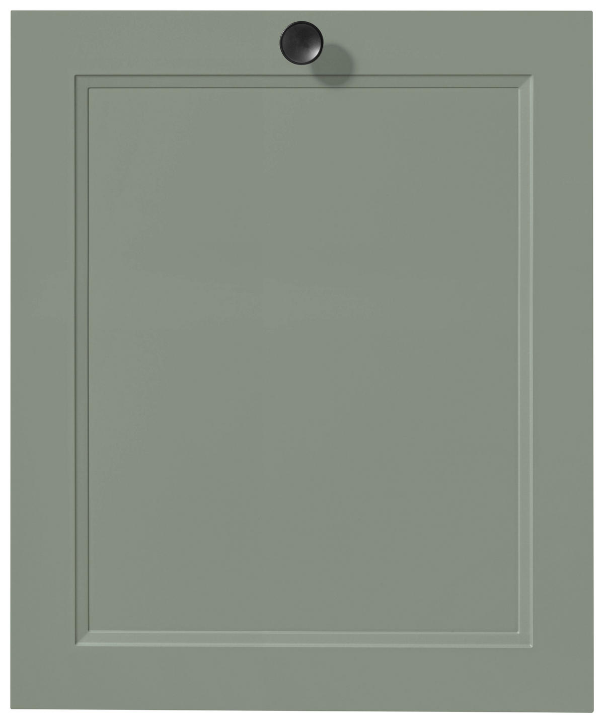 GESCHIRRSPÜLERFRONT 60/72/2,2 cm  in Grün  - Edelstahlfarben/Grün, MODERN, Holzwerkstoff/Metall (60/72/2,2cm) - Nobilia