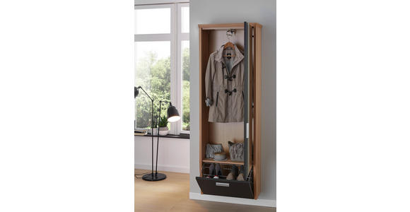 GARDEROBENSCHRANK 65/187/32 cm - Silberfarben/Buchefarben, Design, Glas/Holz (65/187/32cm) - Dieter Knoll