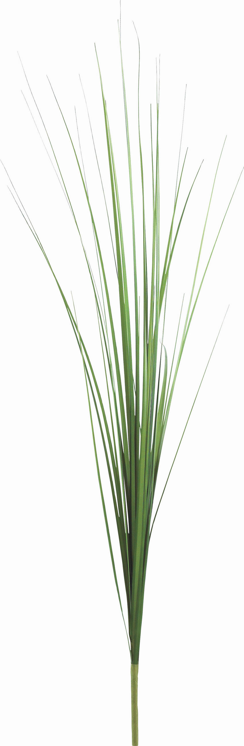 DEKORAČNÍ TRÁVA, 85 cm - zelená, Basics, plast (85cm)