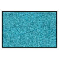 SCHMUTZFANGMATTE  90/120 cm  Türkis  - Türkis, KONVENTIONELL, Kunststoff/Textil (90/120cm) - Esposa