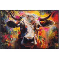FUßMATTE  50/75 cm  Multicolor  - Multicolor, Trend, Kunststoff/Textil (50/75cm) - wash+dry