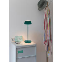 AKKU-TISCHLEUCHTE 11/30 cm  - Dunkelgrün/Schwarz, Trend, Kunststoff/Metall (11/30cm) - Novel