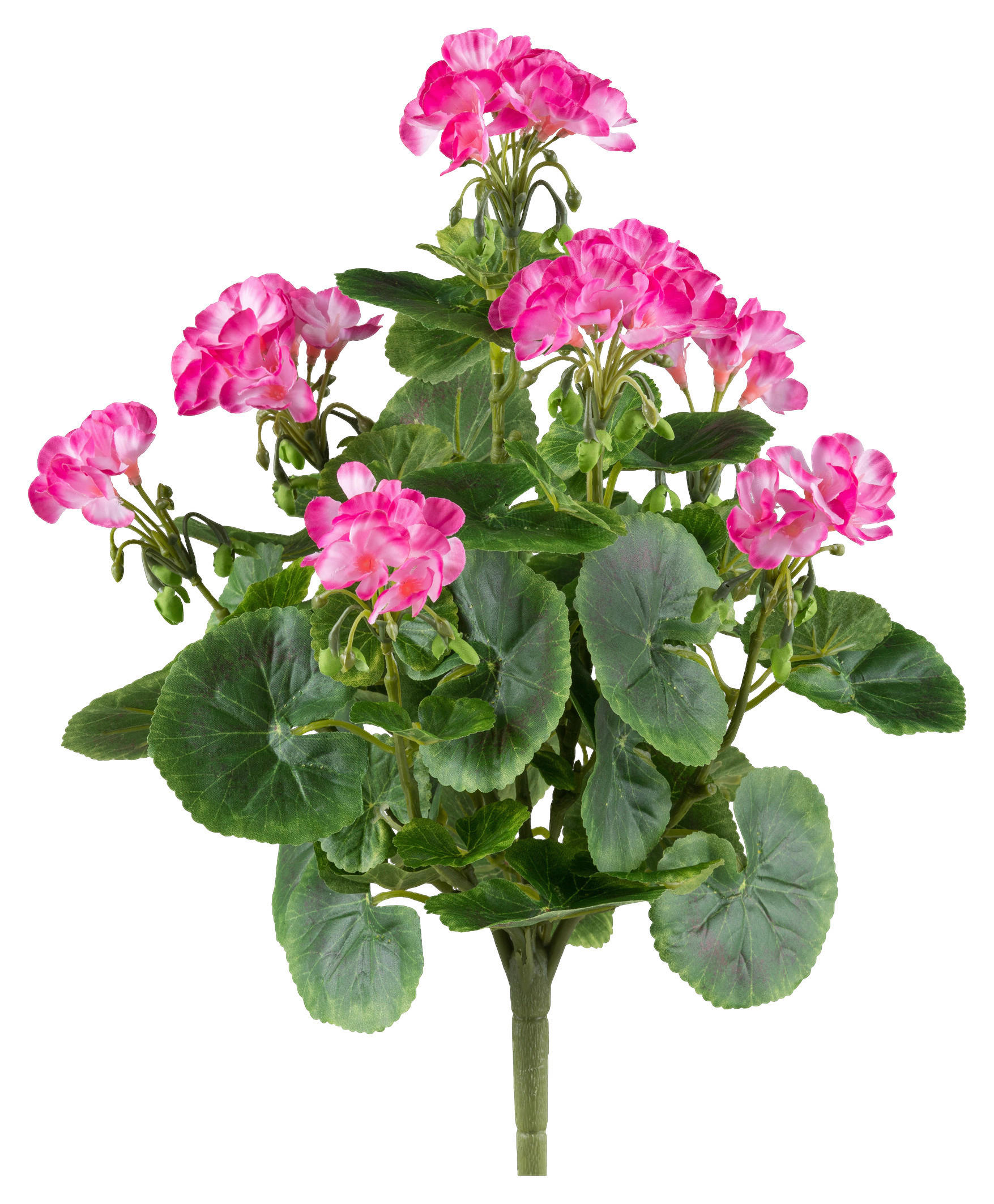 KUNSTPFLANZE 40 cm  - Pink/Grün, Design, Kunststoff (40cm) - P & B