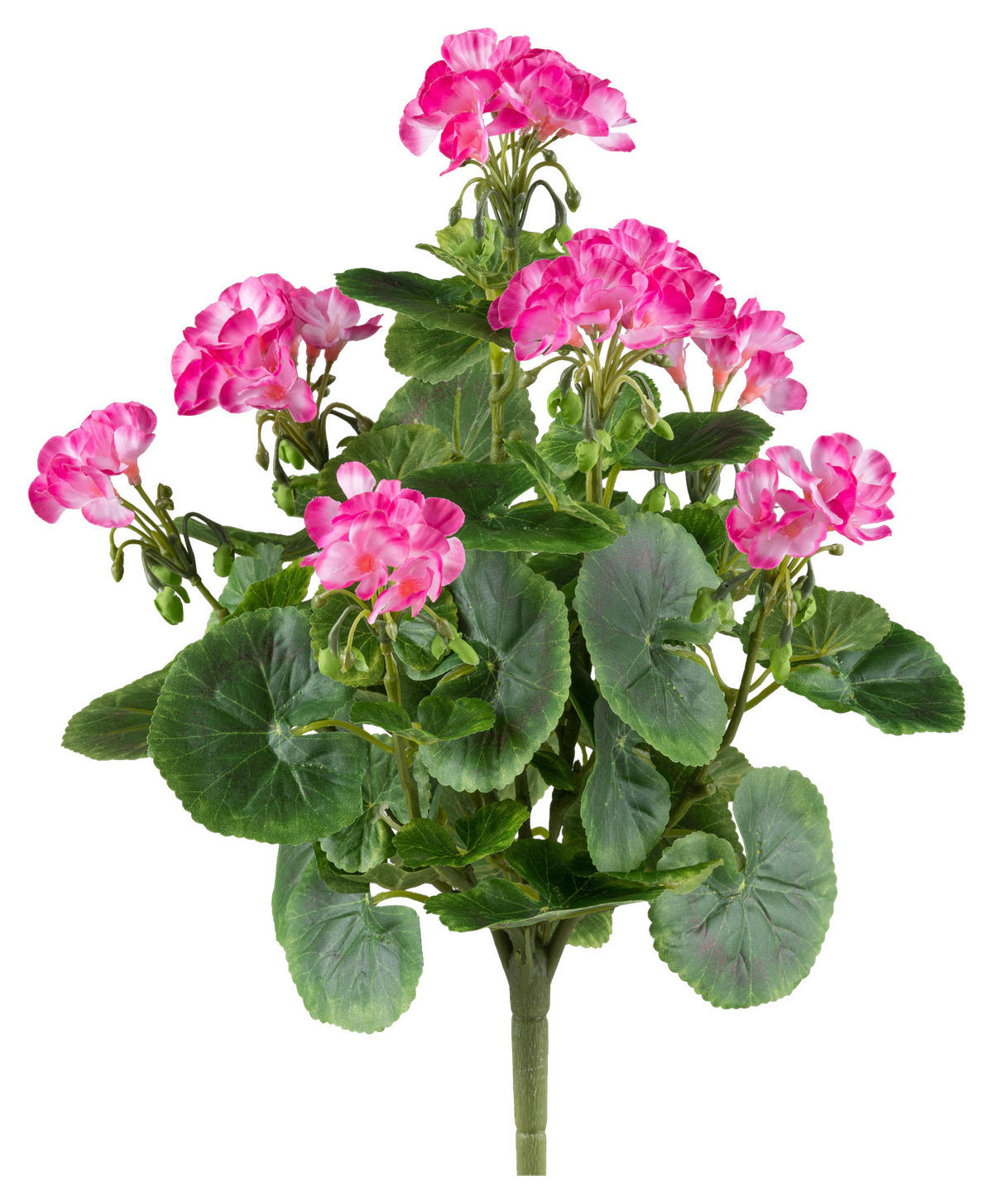 KUNSTPFLANZE 40 cm  - Pink/Grün, Design, Kunststoff (40cm) - P & B