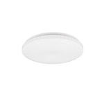 LED-DECKENLEUCHTE 16 W  33/6 cm    - Weiß, Basics, Kunststoff (33/6cm) - Boxxx