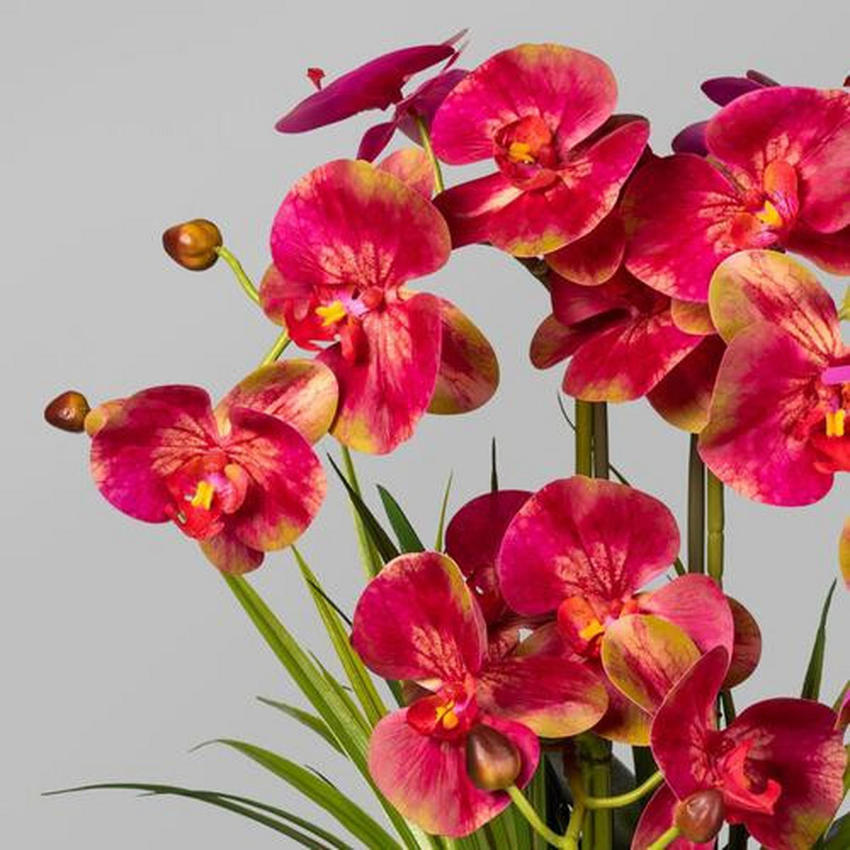 KUNSTPFLANZE Orchidee 58 cm  - Pink/Weiß, Basics, Keramik/Kunststoff (58cm) - P & B
