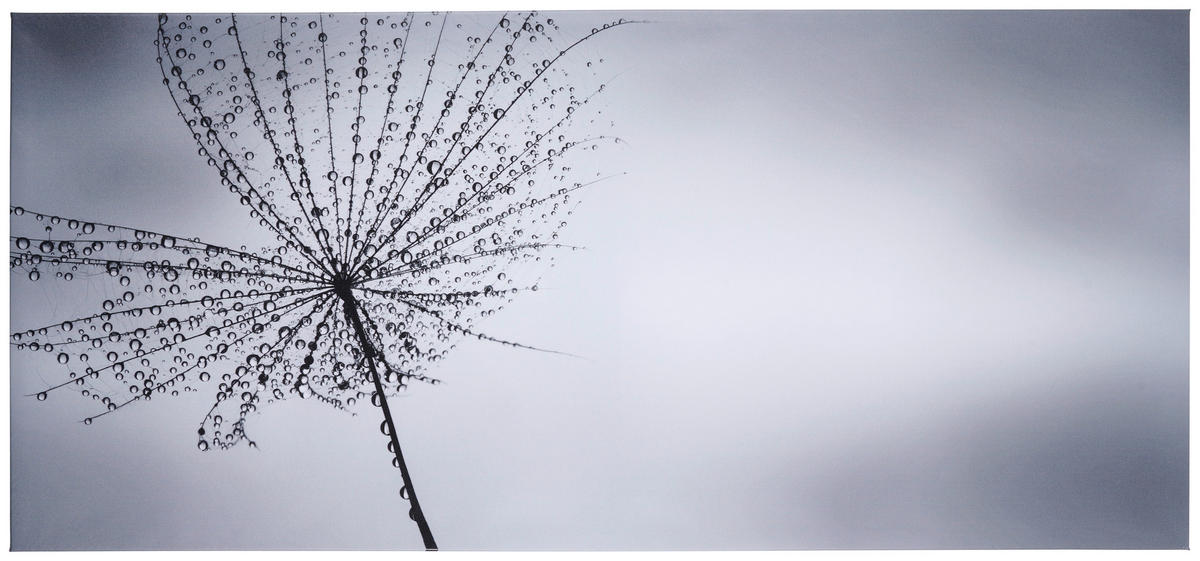 Art Print 120/55 cm  - multicolor, Basics, textil/material pe bază de lemn (120/55cm) - Monee