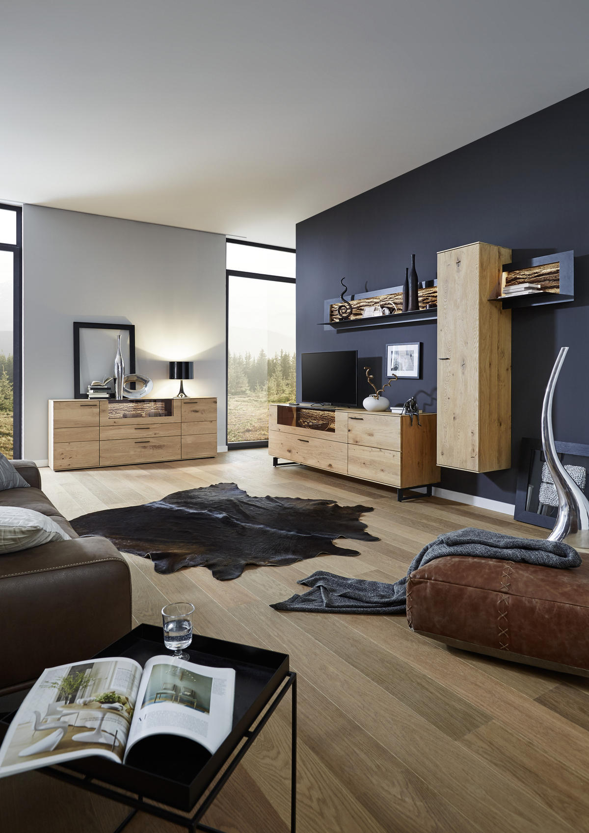 WOHNWAND  in Anthrazit, Eichefarben 318/223/49 cm  - Eichefarben/Anthrazit, Natur, Glas/Holz (318/223/49cm) - Valnatura
