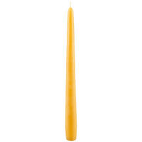 STABKERZE - Gelb, Basics (2,3/24,5cm) - Steinhart
