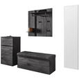 GARDEROBE  in 246/195/41 cm  - Anthrazit, Design, Glas/Holz (246/195/41cm) - Johann Jakob