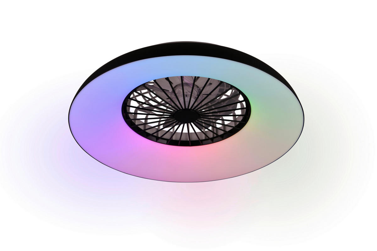 DECKENVENTILATOR - Klar/Schwarz, Design, Kunststoff (60/19.5cm) - Trio Leuchten