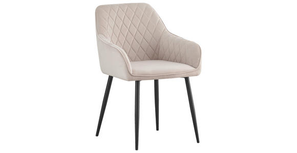 ARMLEHNSTUHL-SET 2 Stück  in Eisen Samt  - Beige/Schwarz, MODERN, Textil/Metall (56/82,5/61,5cm) - Novel