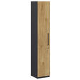 AKTENSCHRANK Anthrazit, Hickory  - Anthrazit/Hickory, KONVENTIONELL, Holzwerkstoff (40/220,5/41,9cm) - Moderano