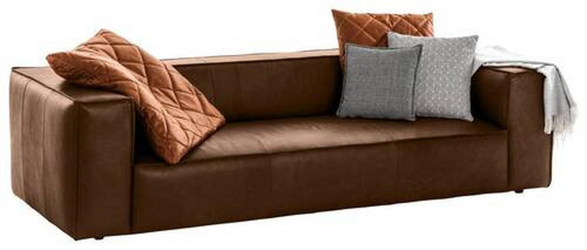 3-SITZER-SOFA in Echtleder Dunkelbraun  - Dunkelbraun/Schwarz, Modern, Leder/Kunststoff (260/66/104cm) - W.Schillig