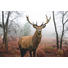 DEKOPANEEL - Multicolor, LIFESTYLE, Holzwerkstoff (60/90cm) - Reinders Next DEKOPANEEL - Multicolor, LIFESTYLE, Holzwerkstoff (60/90cm) - Reinders Next