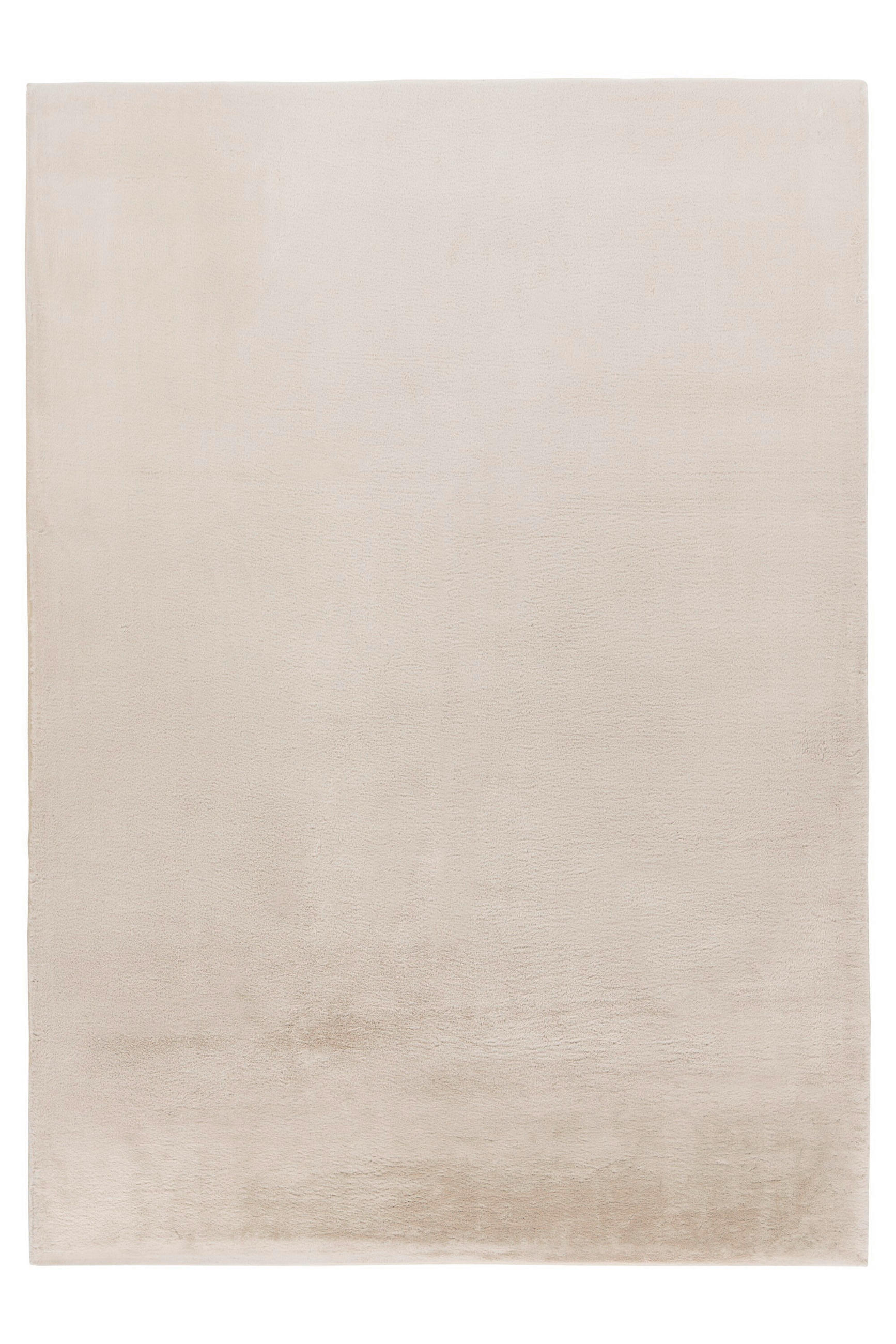 HOCHFLORTEPPICH 160/230 cm Creme  - Creme, Basics, Textil (160/230cm) - Kayoom