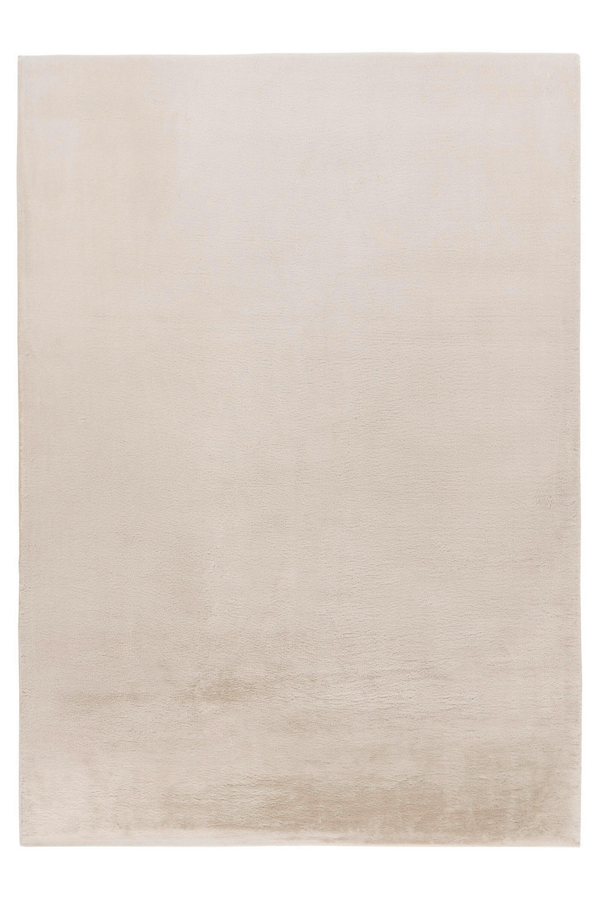 HOCHFLORTEPPICH 120/170 cm Creme  - Creme, Basics, Textil (120/170cm) - Kayoom