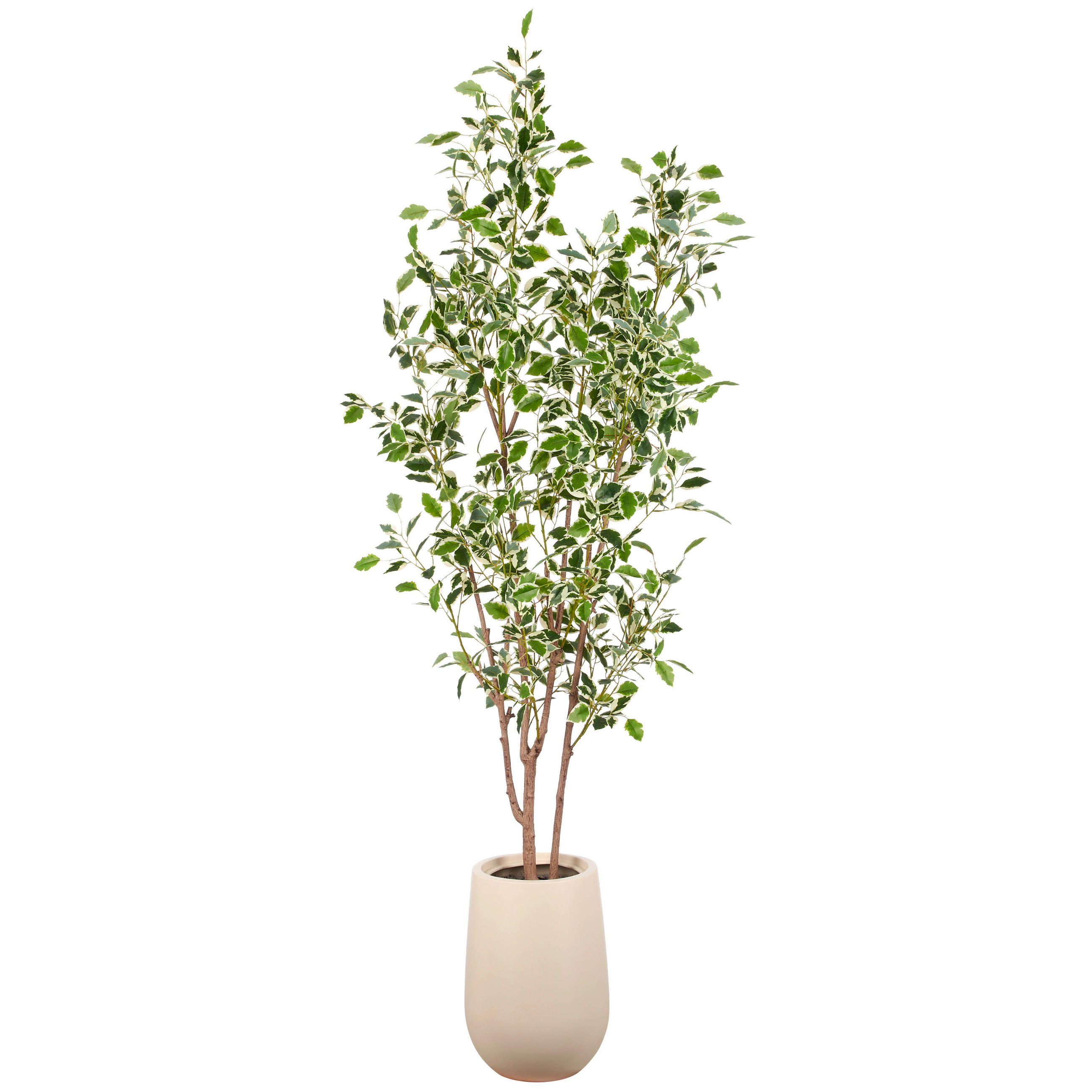 KUNSTPFLANZE Ficus Benjamina 190 cm  - Creme/Braun, Basics, Kunststoff (190cm)
