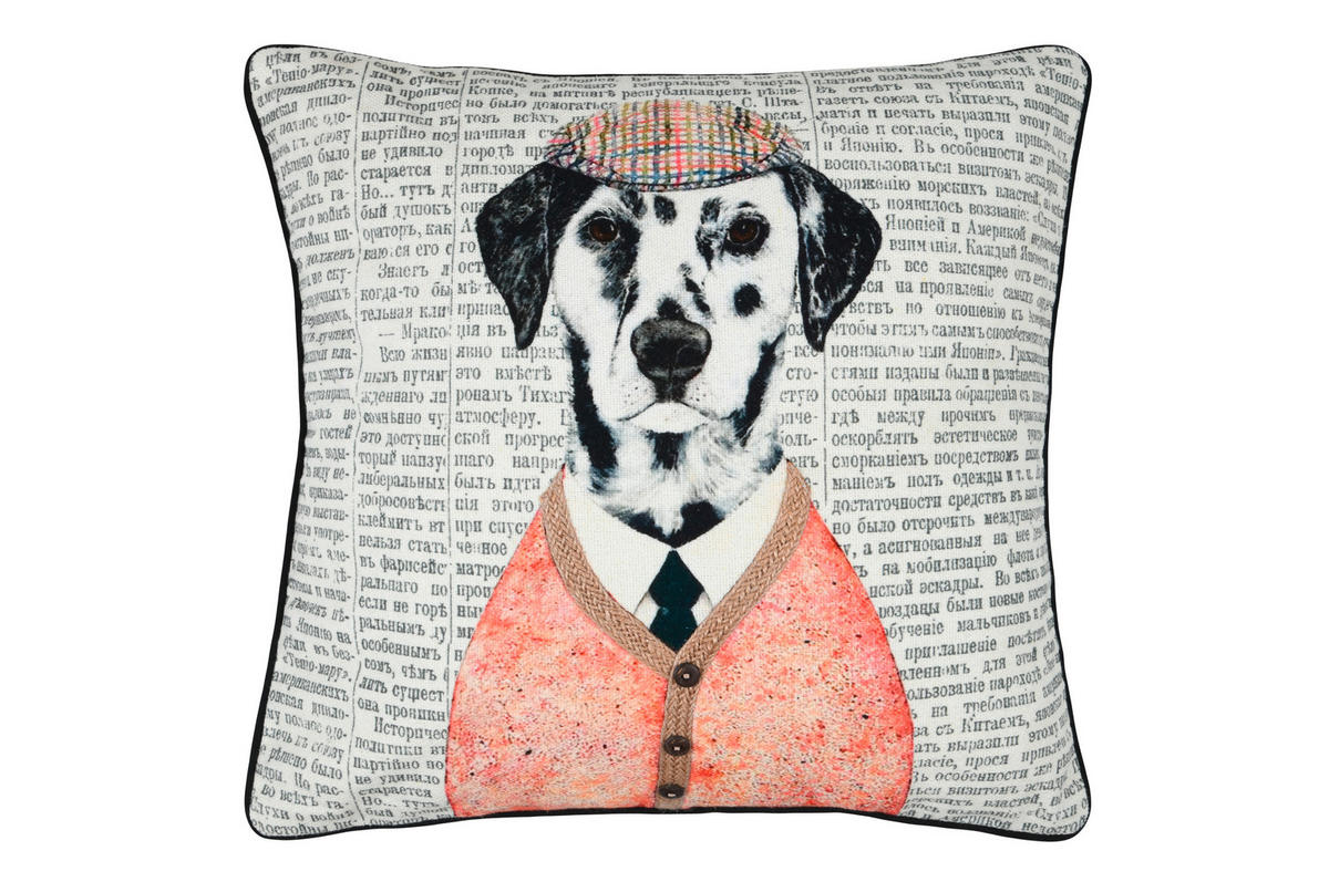OKRASNA BLAZINA  PETER   45/45 cm          - večbarvno, Konvencionalno, tekstil (45/45cm)