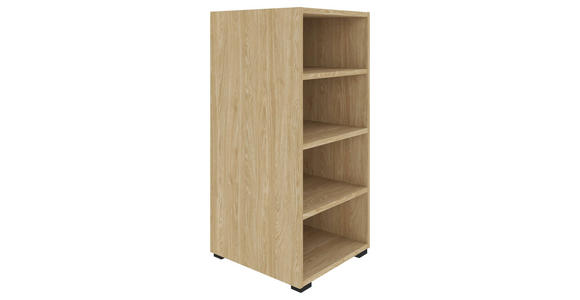 REGAL Eichefarben - Eichefarben/Schwarz, KONVENTIONELL, Holzwerkstoff/Kunststoff (46/90/40cm) - Hom`in
