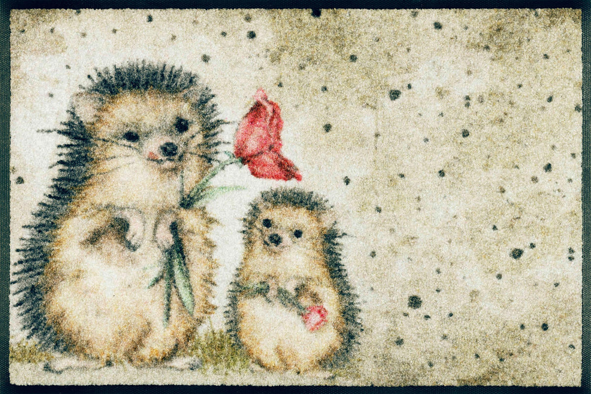 FUßMATTE 40/60 cm Spike  - Hellbraun/Dunkelbraun, Trend, Kunststoff/Textil (40/60cm) - wash+dry