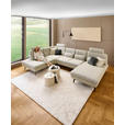 WOHNLANDSCHAFT Silberfarben, Beige Chenille  - Beige/Silberfarben, Design, Textil/Metall (243/352/190cm) - Dieter Knoll