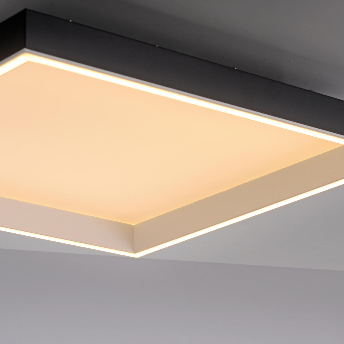 LED-DECKENLEUCHTE 50/50/8.4 cm    - Schwarz, Basics, Kunststoff/Metall (50/50/8.4cm)