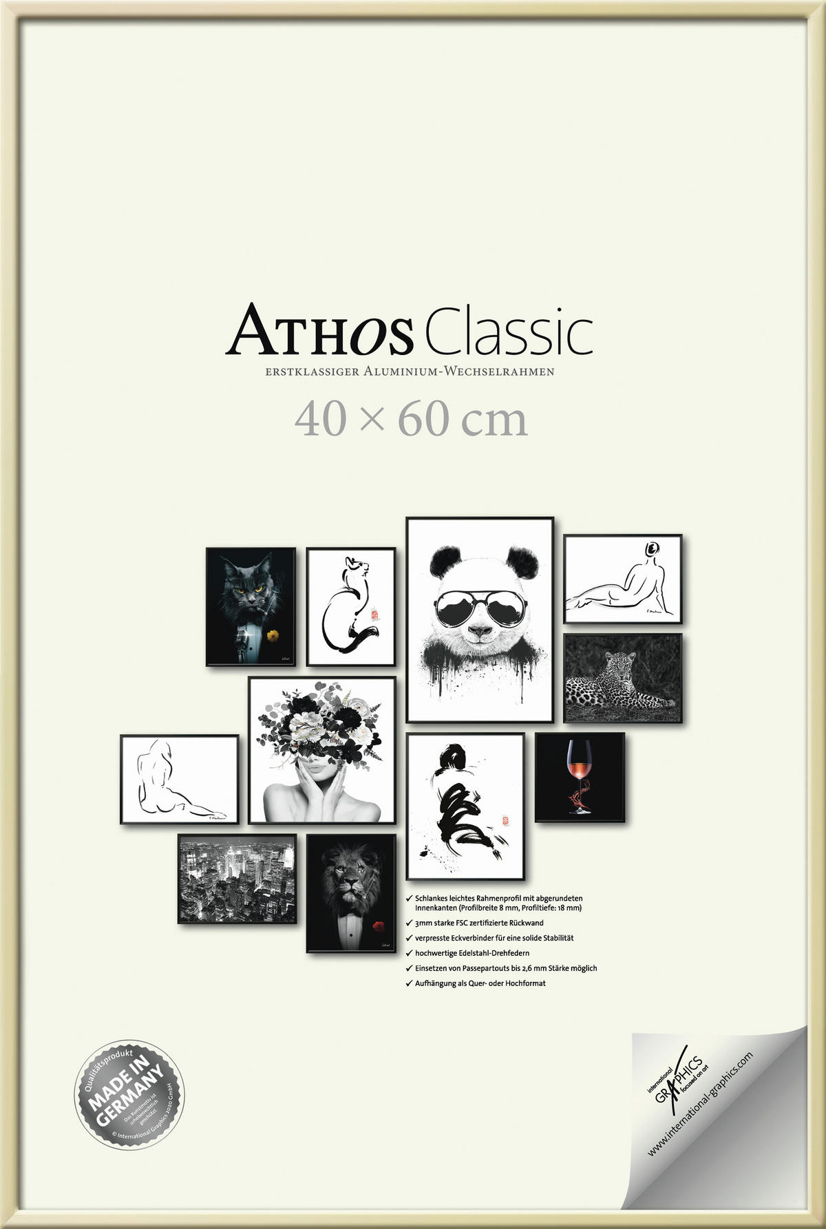 BILDERRAHMEN - Goldfarben, Basics, Papier/Holzwerkstoff (40/60/1,8cm)