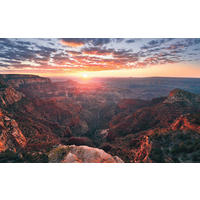 NON WOVEN-TAPET 400/250 cm  - Natur (400/250cm)