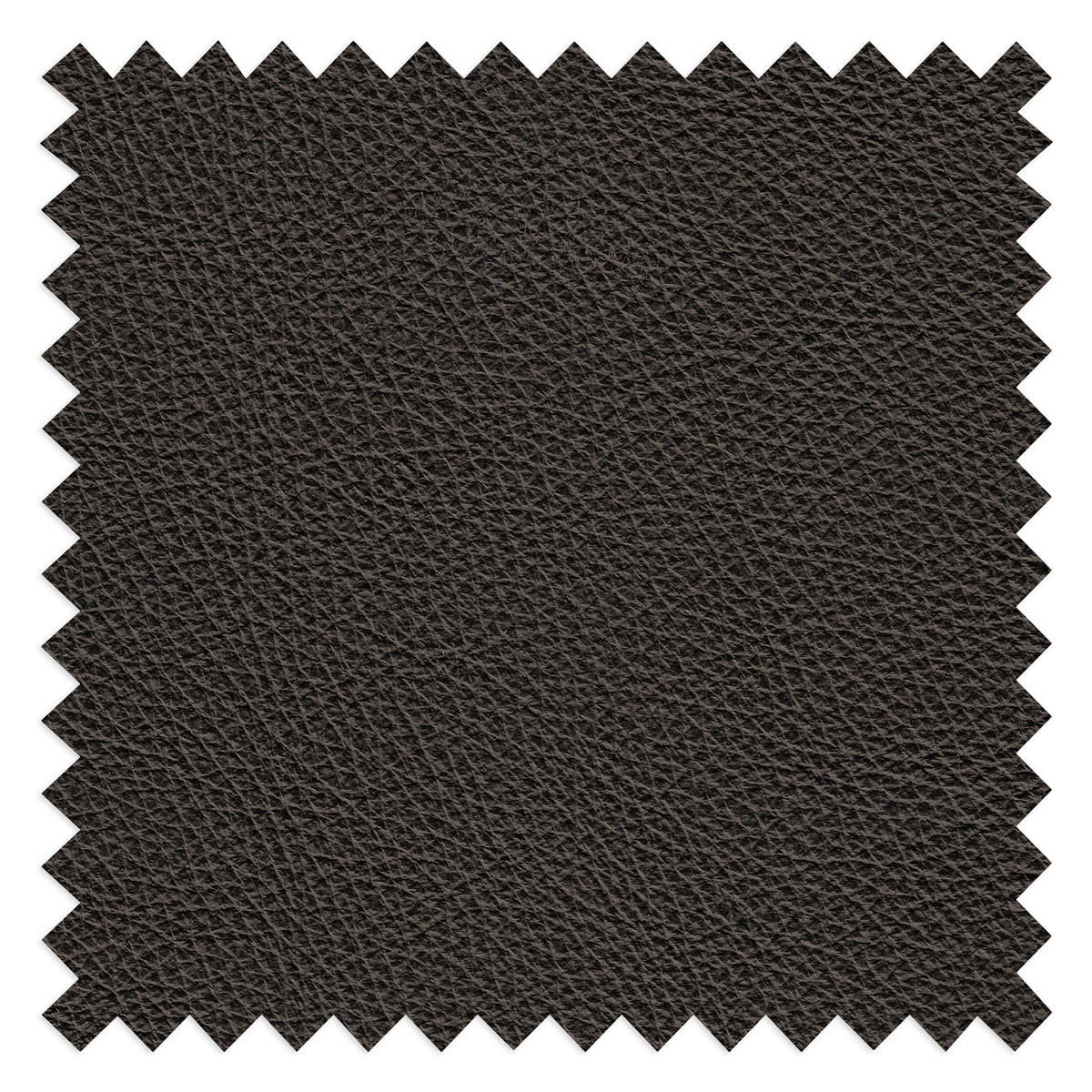 2-SITZER-SOFA  in Echtleder Braun   - Schwarz/Braun, Design, Leder/Holz (174/97/97cm) - Livetastic