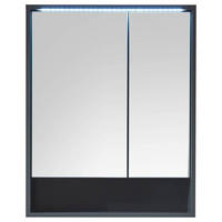 SPIEGELSCHRANK 60/75/20 cm  - Grau, MODERN, Glas/Holzwerkstoff (60/75/20cm) - MID.YOU