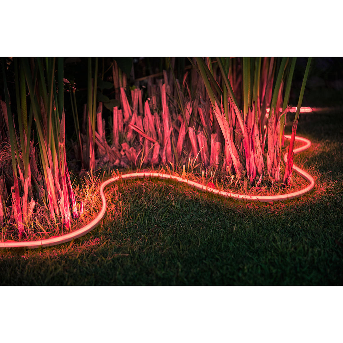 LED-STRIP Hue 199 cm   - Transparent, Design, Kunststoff (199cm) - Philips HUE