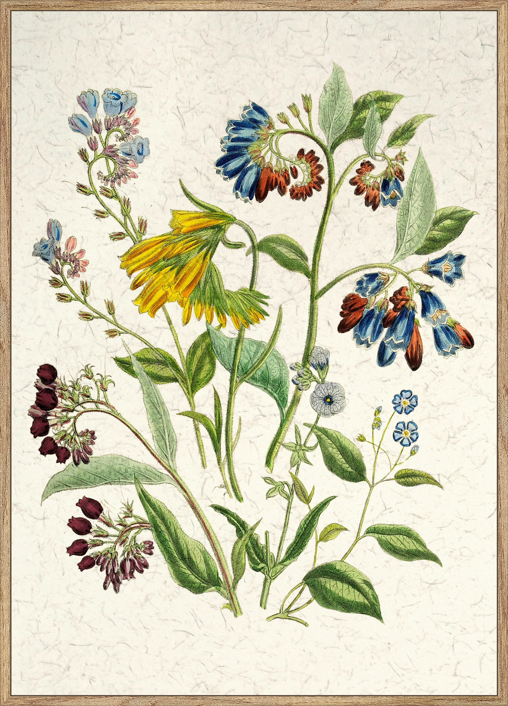KUNSTDRUCK Blumen 50/70 cm  - Eichefarben/Multicolor, Basics, Holzwerkstoff (50/70cm) - Monee