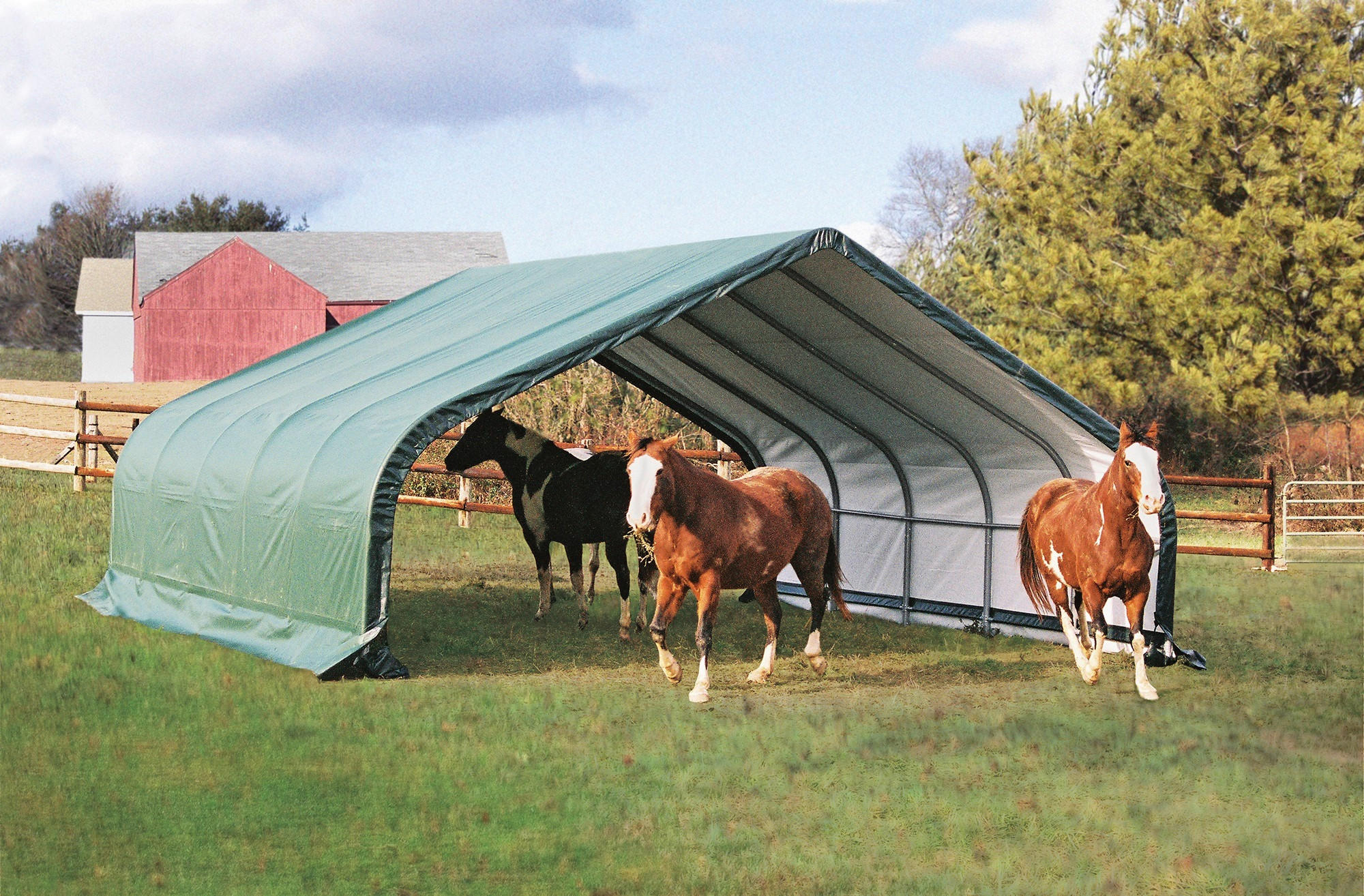 ZELTGARAGE - Dunkelgrün, Basics, Kunststoff (610/670/320cm) - Ambia Garden