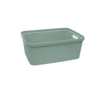 ÚLOŽNÝ BOX, plast - zelená, Basics, plast (27,5/38,5/15cm) - Homeware