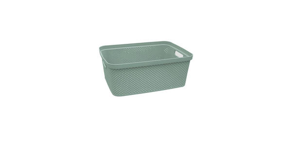 AUFBEWAHRUNGSBOX    27,5/38,5/15 cm  - Grün, Basics, Kunststoff (27,5/38,5/15cm) - Homeware