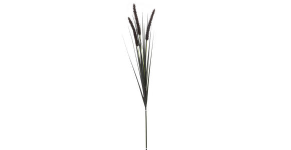 SCHILFKOLBEN - Schwarz, Trend, Kunststoff/Metall (85cm) - Ambia Home